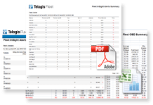 Ford Telematics - reports