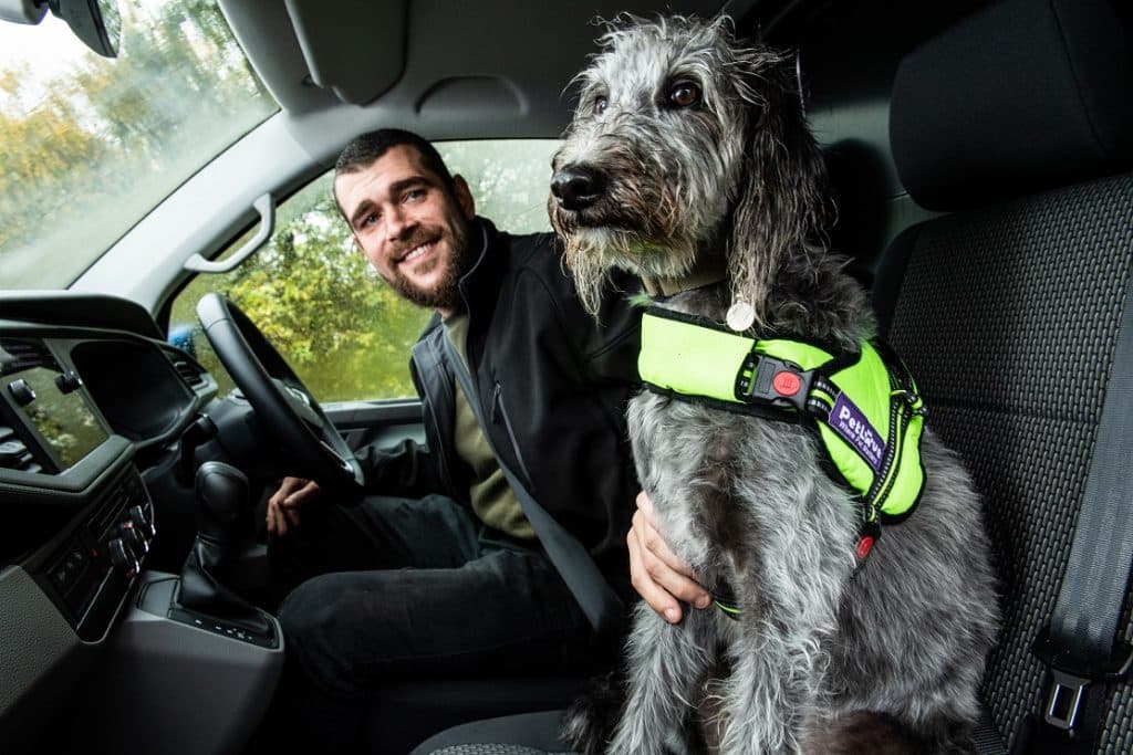 van drivers - driver and dog